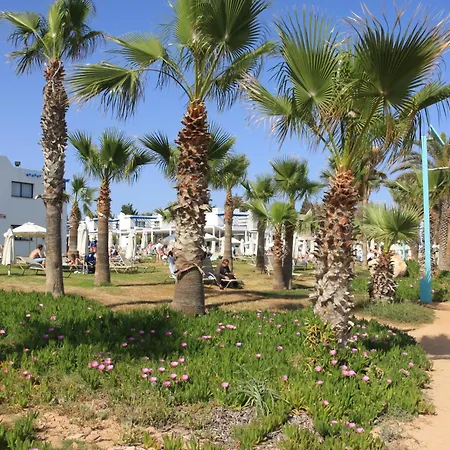 Semesteranläggning (resort) Marismare